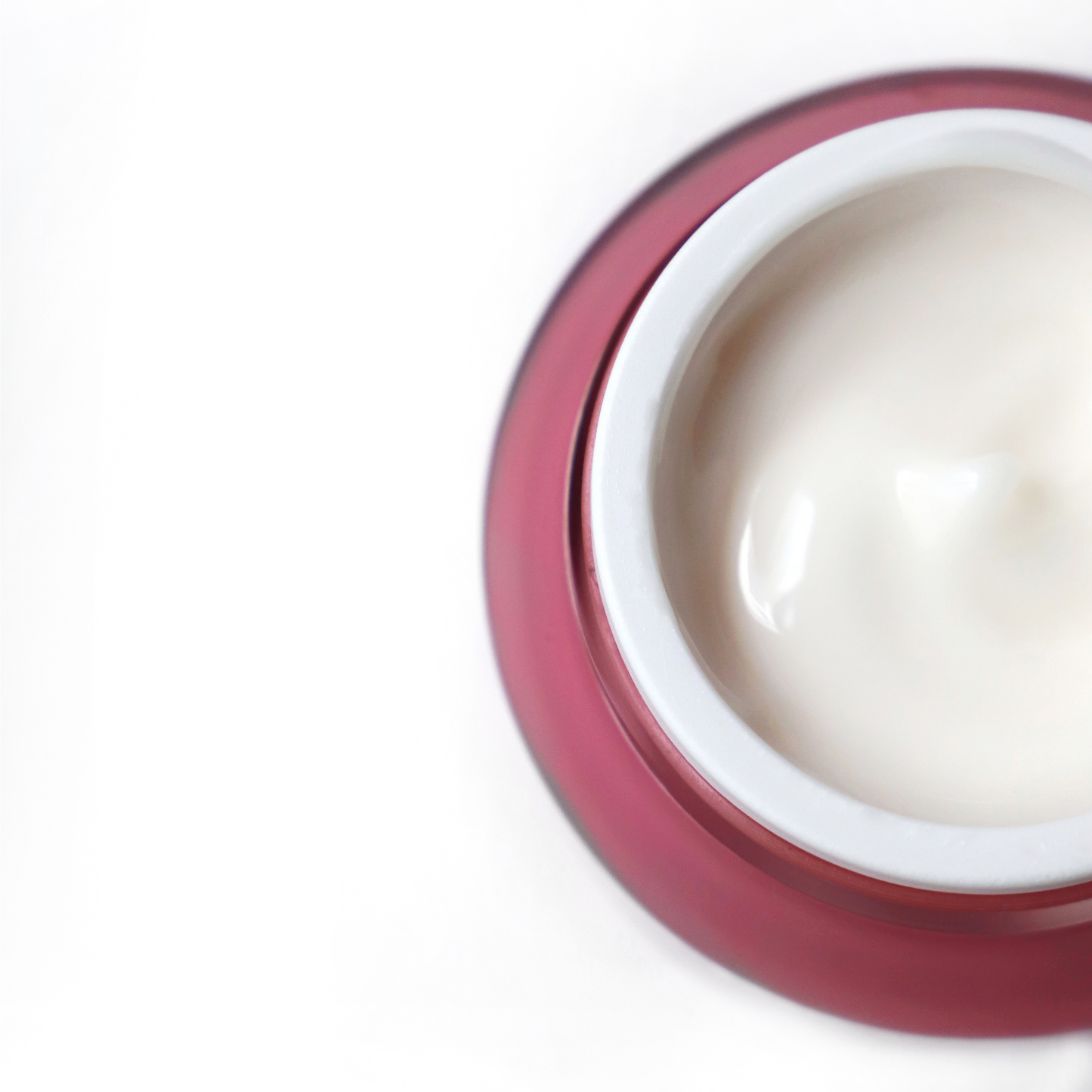 LIGHTWEIGHT FACE DAY CREAM (OILY SKIN)